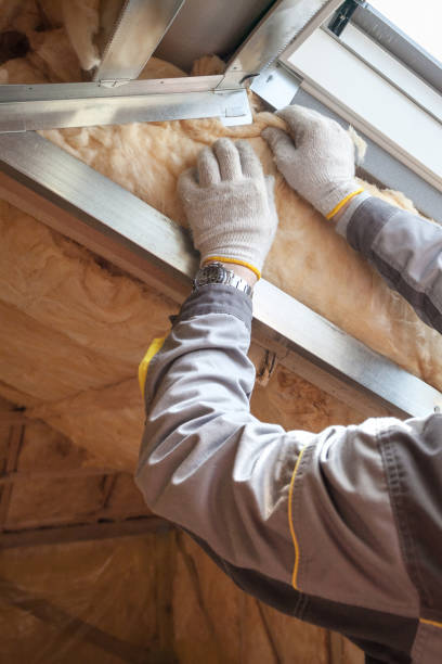 Types of Insulation We Offer in Swissvale, PA