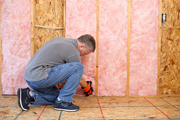 Best Cellulose Insulation in Swissvale, PA