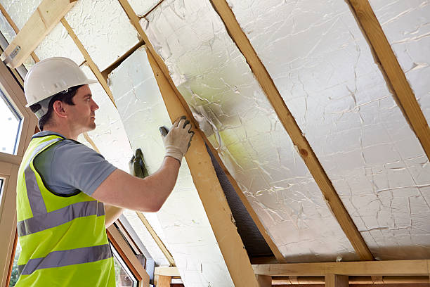 Best Specialized Insulation Services in Swissvale, PA